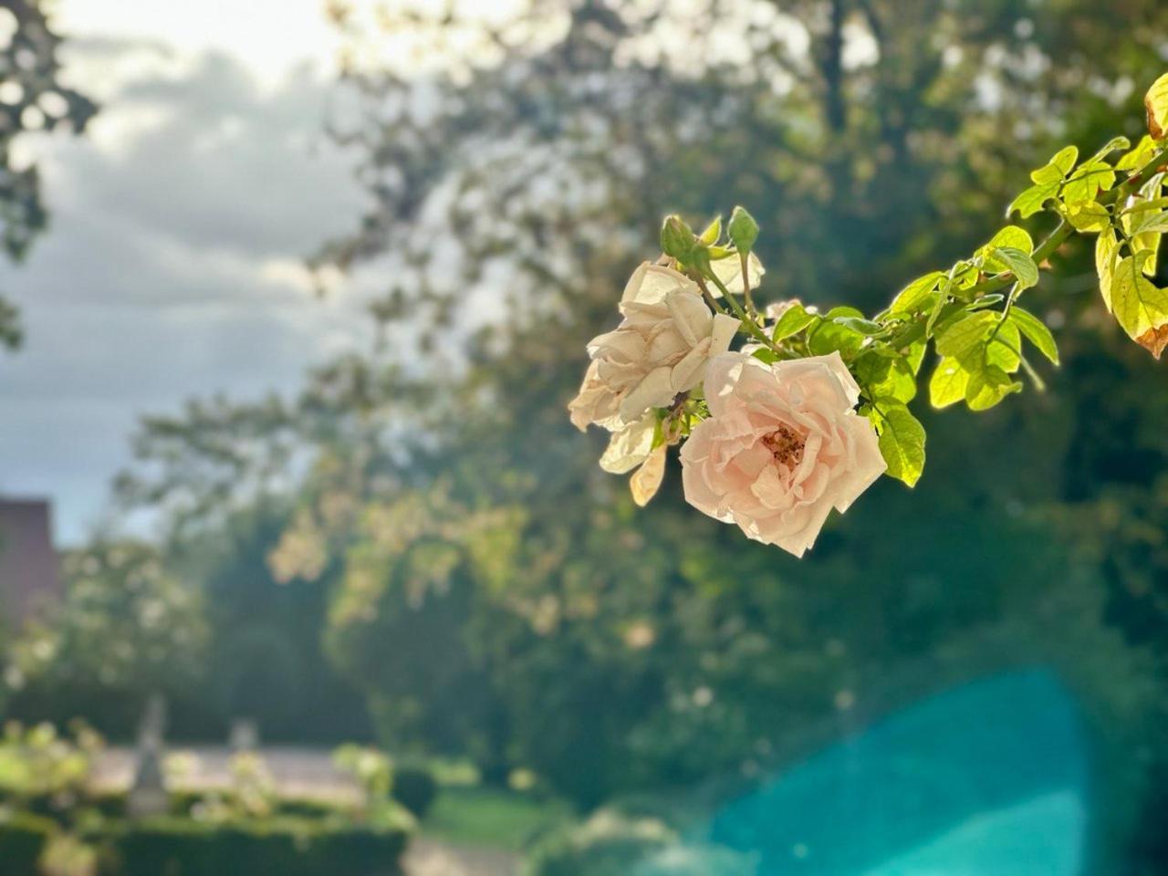 Cote Park Bed and Breakfast Givry  Buitenkant foto