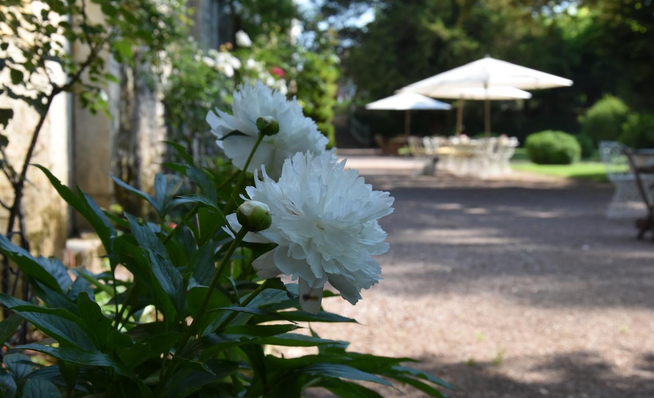 Cote Park Bed and Breakfast Givry  Buitenkant foto